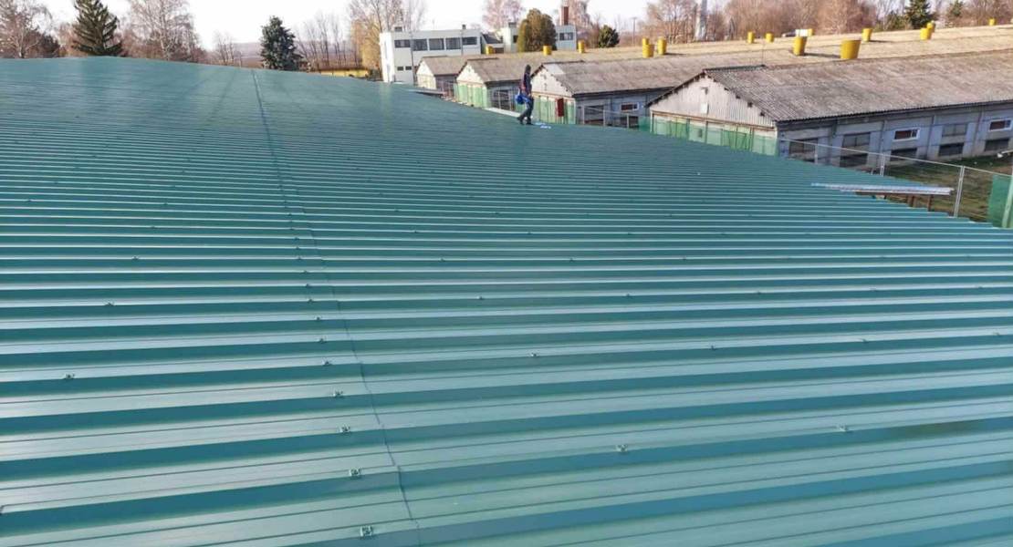 Hajdúszoboszló - sertéstelep